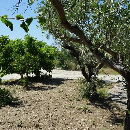 דירה Sugarcubes By Evagstays *