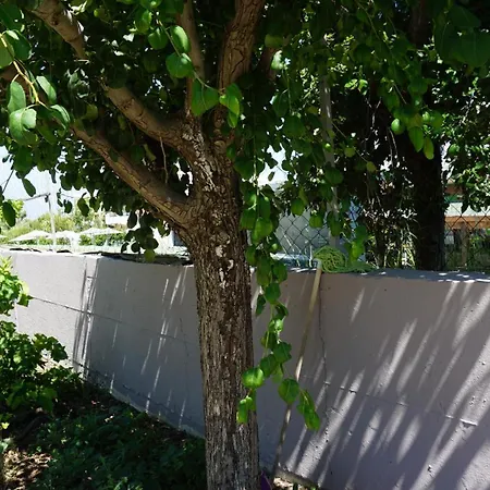 Sugarcubes By Evagstays