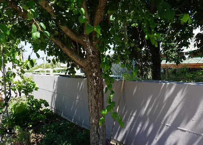 Sugarcubes By Evagstays